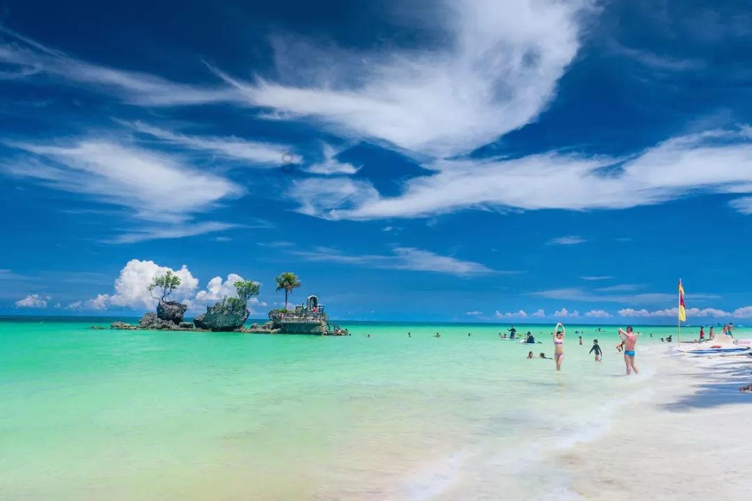 救援深海动物